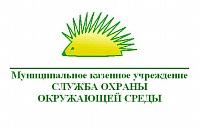 Экологический паспорт города Димитровграда